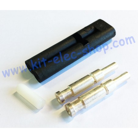 Pilot auxiliary contacts kit for REMA EURO 80A female connector