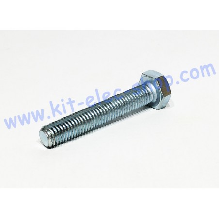 TH screw M10x60 zinc