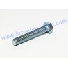 TH screw M10x60 zinc