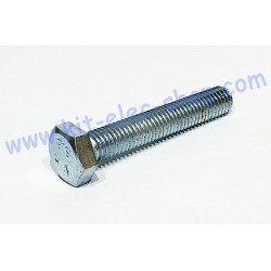 TH screw M10x60 zinc