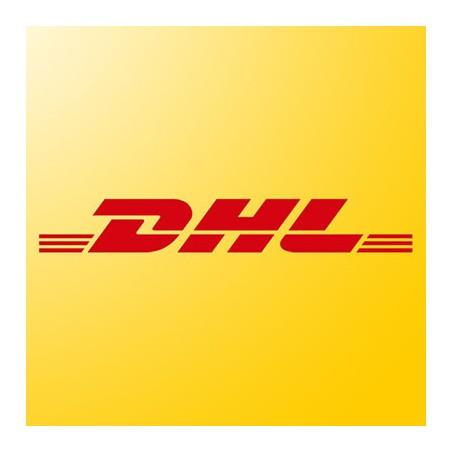 Frais de port DAP via DHL 22-26kg pour la Pologne