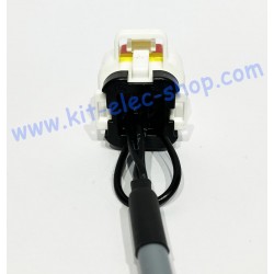 CAN cable AMPSEAL 8-pin female connector to DB9 female connector