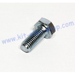 TH screw M8x20 zinc 6.8