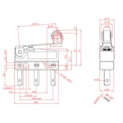 Microswitch with roller lever SW2-10H1-05G0-Z