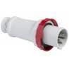 Male plug 63A PK red 3P+N+T 81383